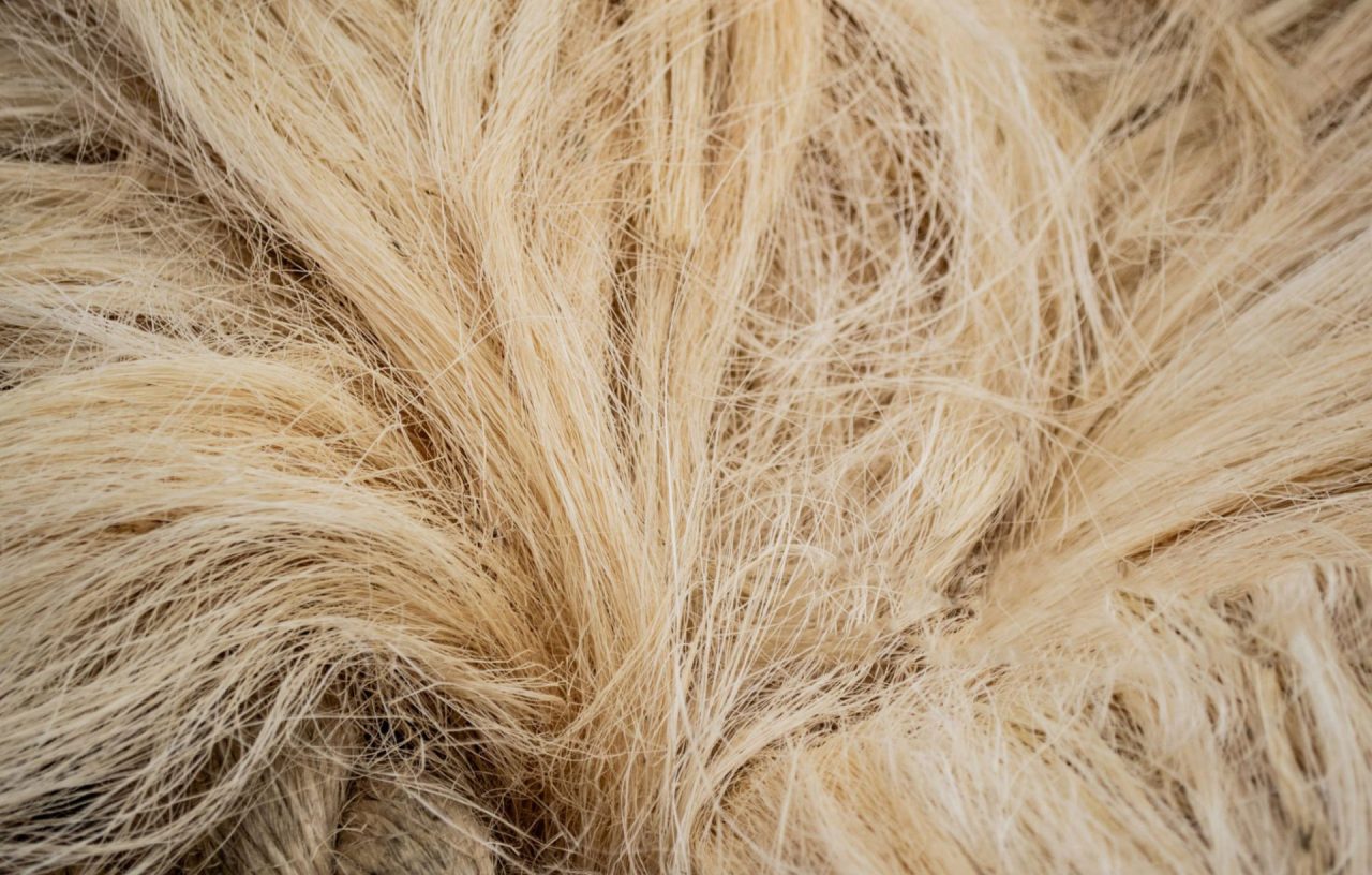 Alarwool - custom woven carpets - jute